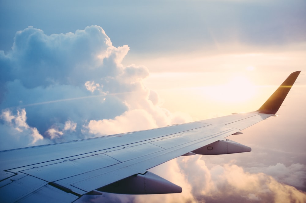 Flight Attendant Union Protests Google Purchase of Spirit Airlines Employee Data